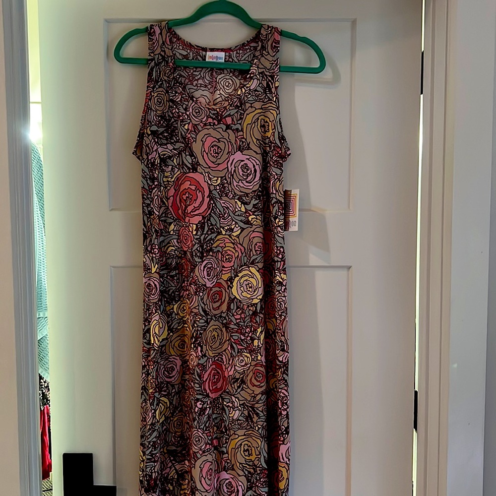 LuLaRoe Dani dress